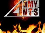 Army Ants concierto!!