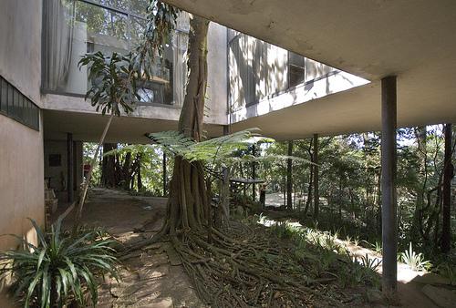 CASA DE VIDRIO PATIO INTERIOR