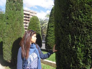 Inauguramos oficialmente el otoño