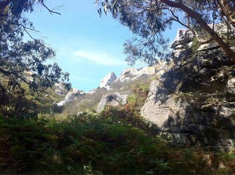 Islas Cíes: por el sendero Islas Cíes: por el sendero