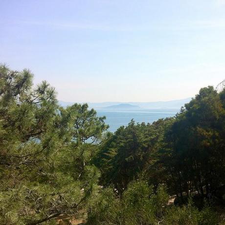 Islas Cíes: por el sendero Islas Cíes: por el sendero