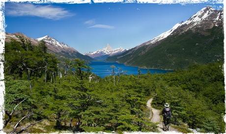 Es hora de reforestar la Patagonia