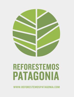 Es hora de reforestar la Patagonia