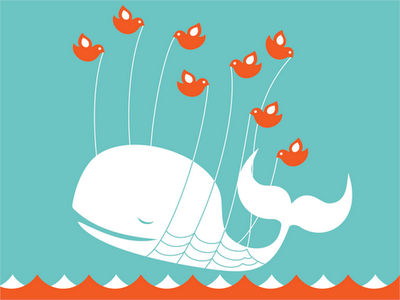 Fraudes del 2.0: los twittstar que actúan como ballenas