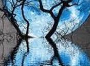 chatarra: imaginá imágenes