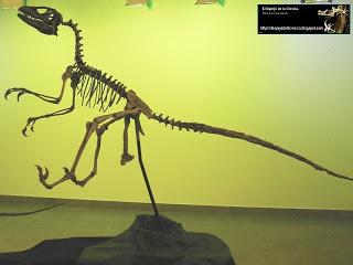 Dinosaurios de la Península Ibérica.