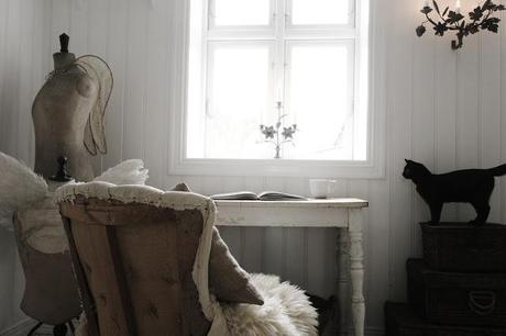 ¡Medio millón de gracias!