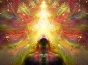 Oportunidad Portal 11/11