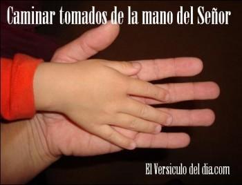 Caminar tomados de la mano del Señor