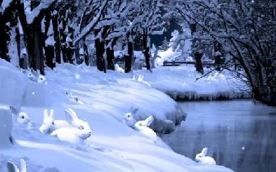 5 opciones de postales para felicitar la Navidad