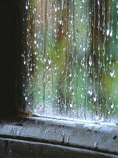 Una agradable sorpresa     /     A pleasant surprise