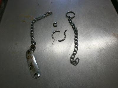 CORONADO, UNA VEZ MAS LA BARBARIE DEL MALTRATO ANIMAL. (MÁLAGA)