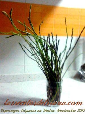 Revuelto de trigueros, uno de los placeres de la vida...