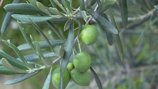 PORQUE ES NECESARIO Y URGENTE