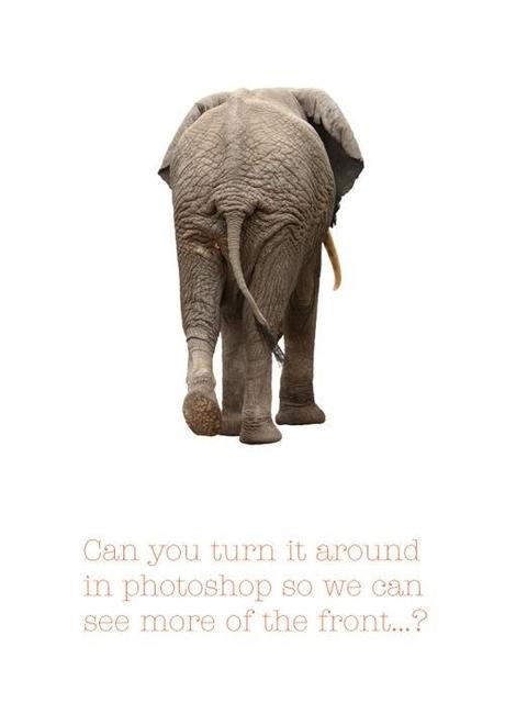 Dale una vuelta… 20121111-150039.jpg