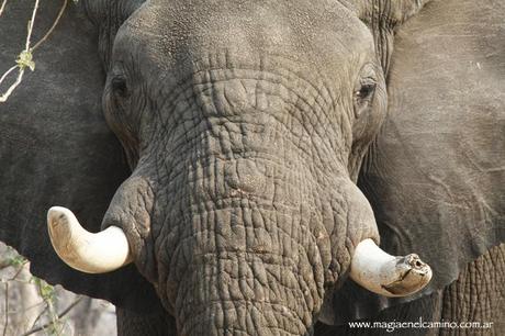 Un niño de 42 años