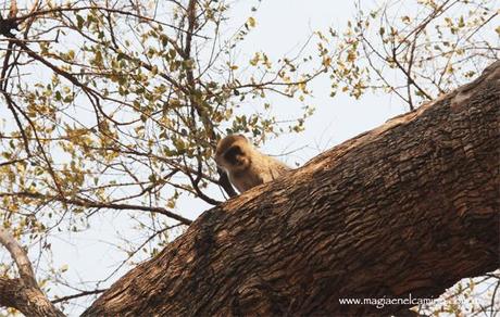 Un niño de 42 años
