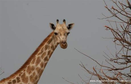 Un niño de 42 años