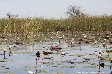 Un niño de 42 años