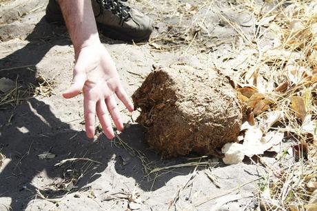 Un niño de 42 años