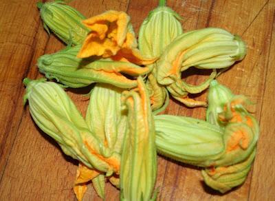 FLORES DE CALABACIN DEL HUERTO