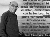 premeditación... ortografía (72)