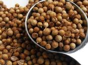 semillas coriandro cilantro pueden mejorar colesterol