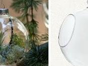 Bolas Navidad Plantas