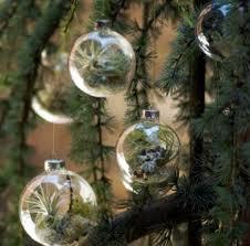 Bolas de Navidad con Plantas