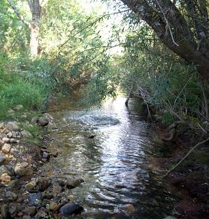El Valle de La Tercia, Reserva de la Biosfera