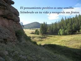 El poder de los alimentos en el bienestar físico y emocional