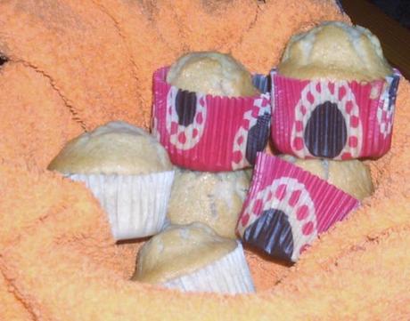 MAGDALENAS DE MANZANA Y CANELA