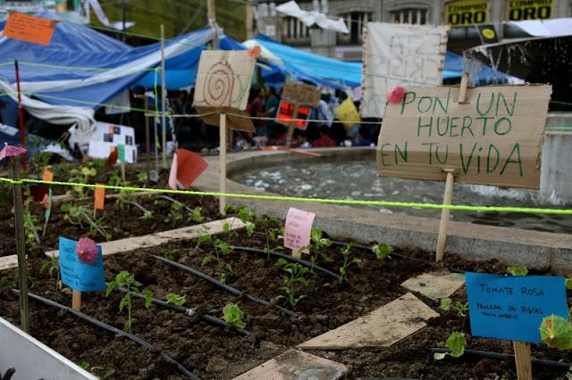 Plaza Solución: la rebelión de las palabras