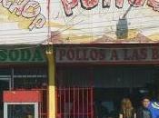 Pollosaurio