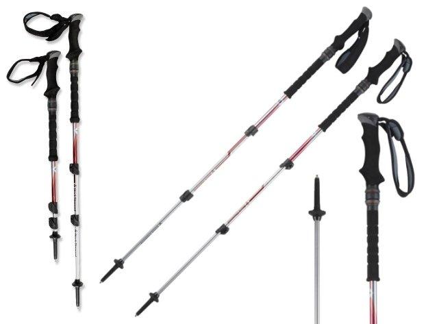 ¿Que bastones de trekking comprar?