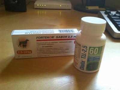 Por los Gaticos y Perretes: Entre todos podemos!!! (Murcia)‏