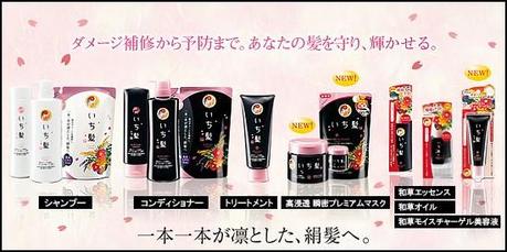 COSMÉTICA ASIÁTICA: HAIRCARE ICHIKAMI DE KANEBO