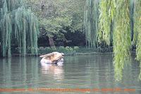 Hangzhou I: El lago