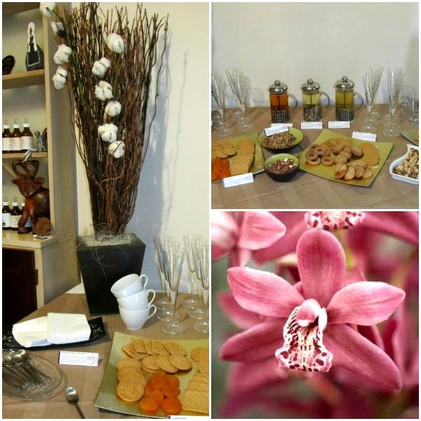 Raquel Ferrando ......