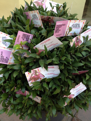 VFNO, Madrid y su noche de moda.