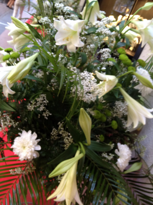 VFNO, Madrid y su noche de moda.