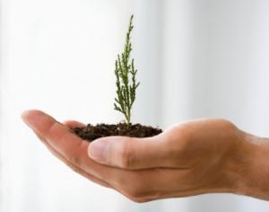 Cómo el emprendedor puede gestionar el emprendimiento