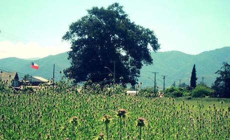 Chile: Uno de mis rincones escondidos favoritos del mundo ( y donde el diablo perdió el poncho)