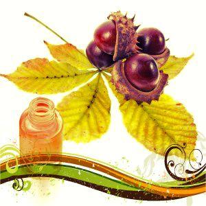 Tratamiento con gel de castañas de indias para varices y venas...