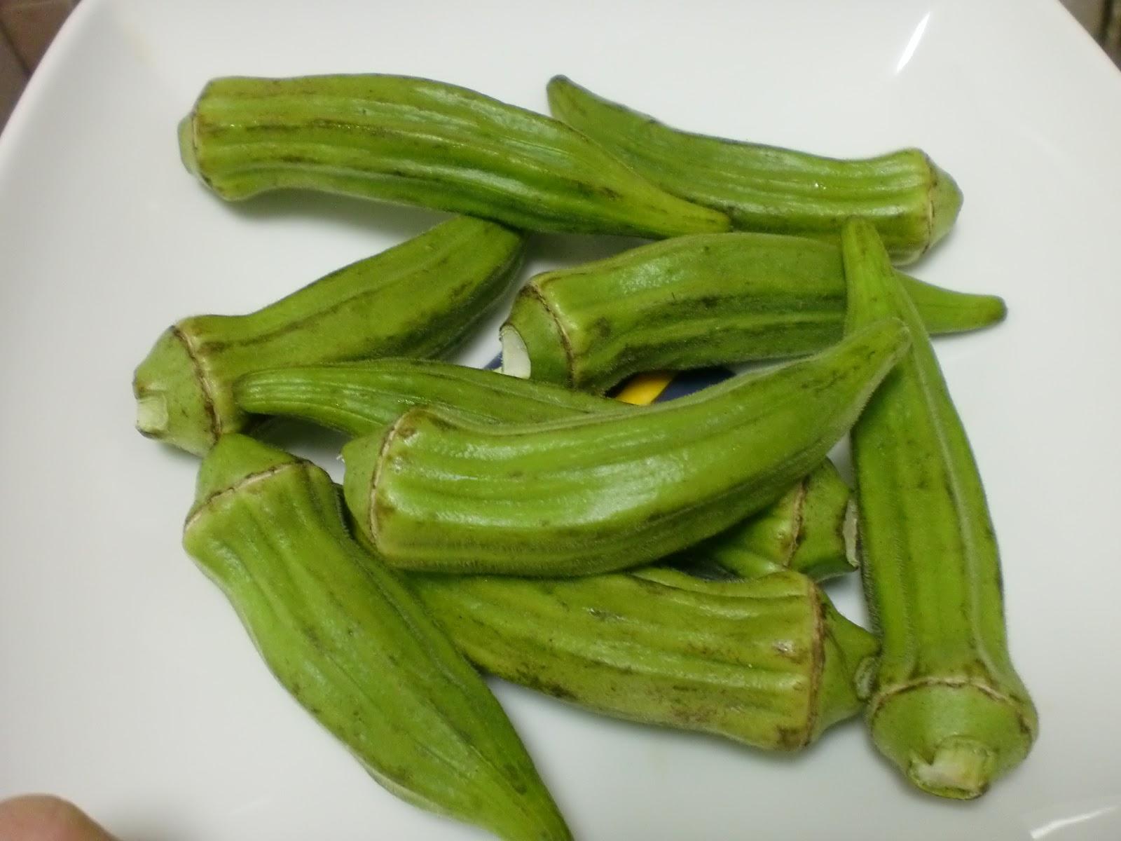 Okura en Salamanca /スペインで発見　オクラ