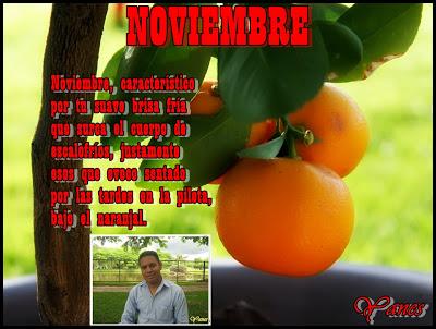 NOVIEMBRE