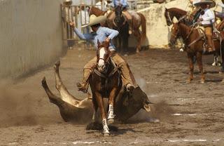 Camino Real “abolló” la corona del Campeón Nacional