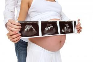 La vida intrauterina y la epigenética