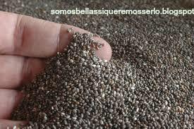 Los 3 alimentos que te harán estar bella y sexy