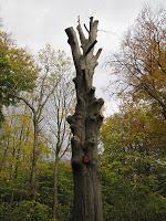 Memorias de Rungstedlund